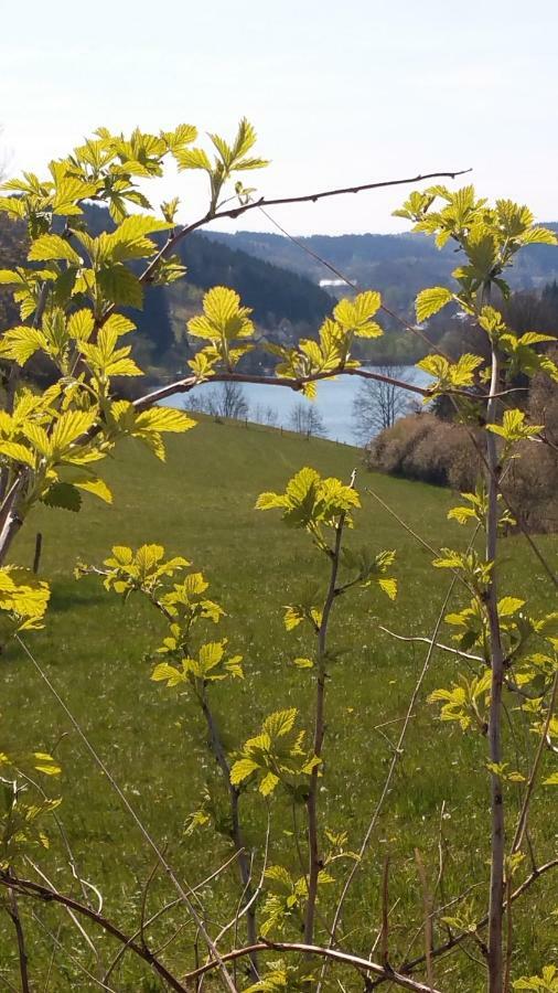 Ferienhaus " Silly " Am Schoenen Listersee Meinerzhagen Eksteriør bilde